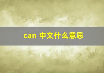 can 中文什么意思